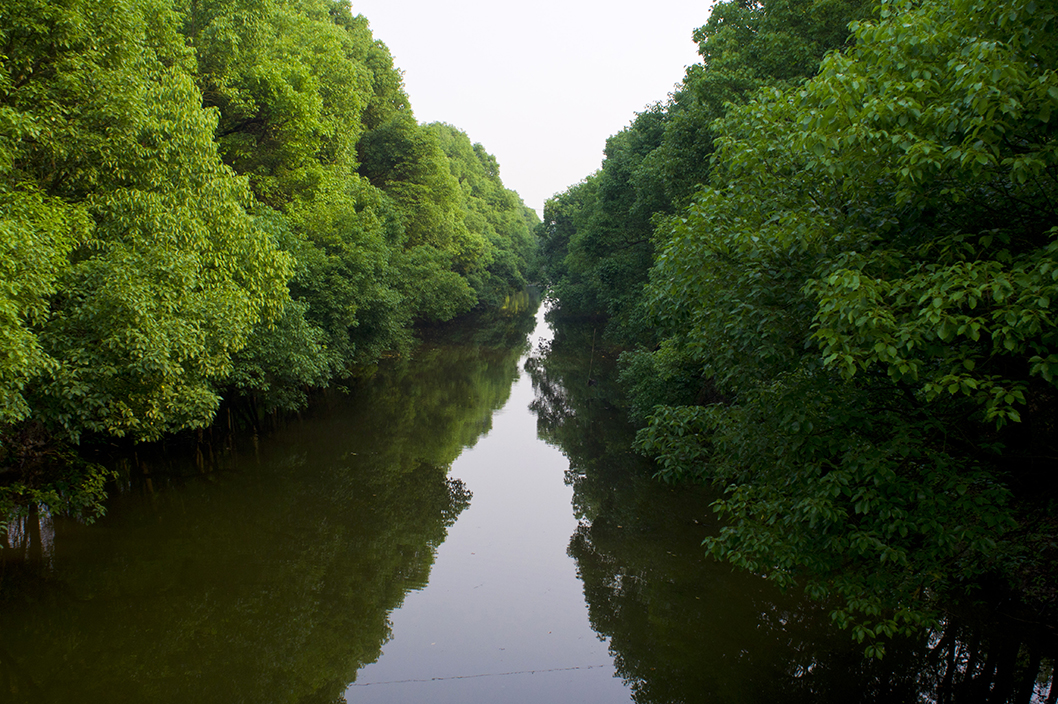 1595937734198667TRXR.jpg DSC07424.jpg