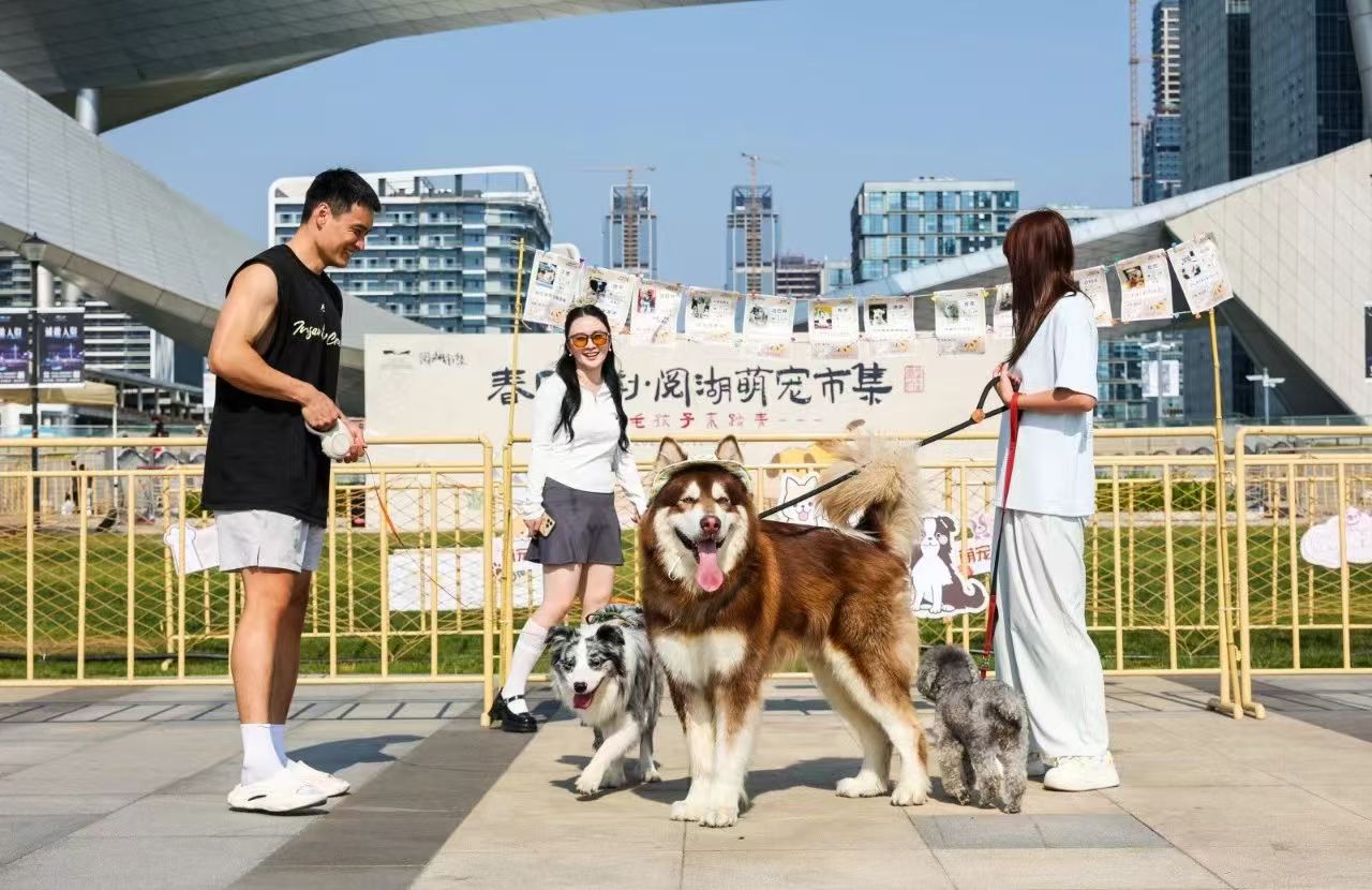 苏州湾文化中心阅湖萌宠市集.jpg